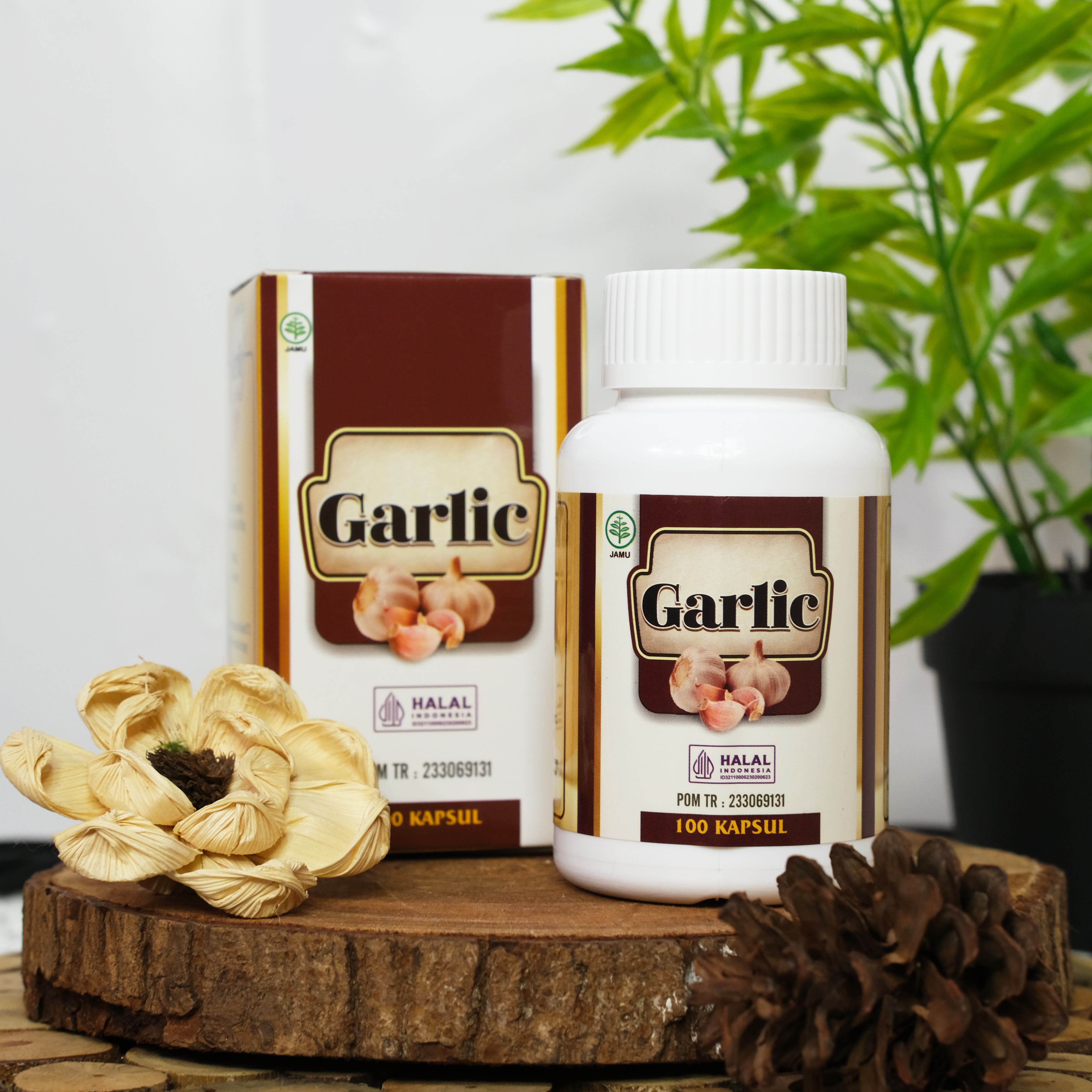 Kapsul Garlic Herbal 100 Kapsul Bawang Putih Tunggal Lanang Alium Sativum Original Asli
